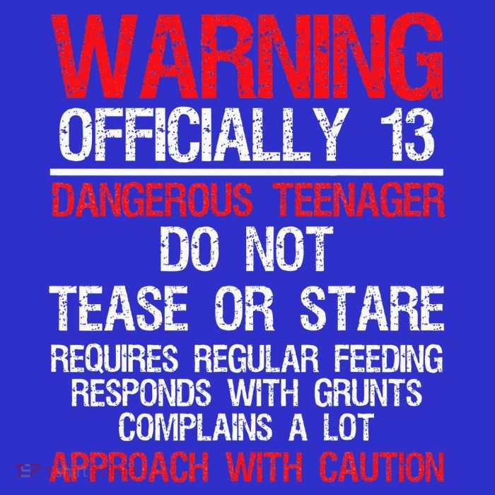 13 Years Old Warning Dangerous Teenager 13th Birthday Tank Top