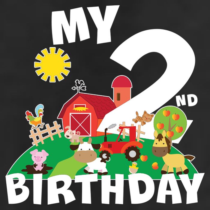 2 Year Old Farm My 2nd Birthday 7 Panel Mesh Trucker Snapback Hat