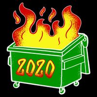 2020 Dumpster Fire Funny Disaster Stripe Pom Pom Beanie