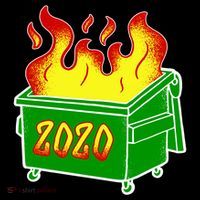 2020 Dumpster Fire Funny Disaster Flatbill Hat