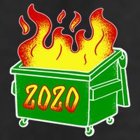 2020 Dumpster Fire Funny Disaster Tumbler