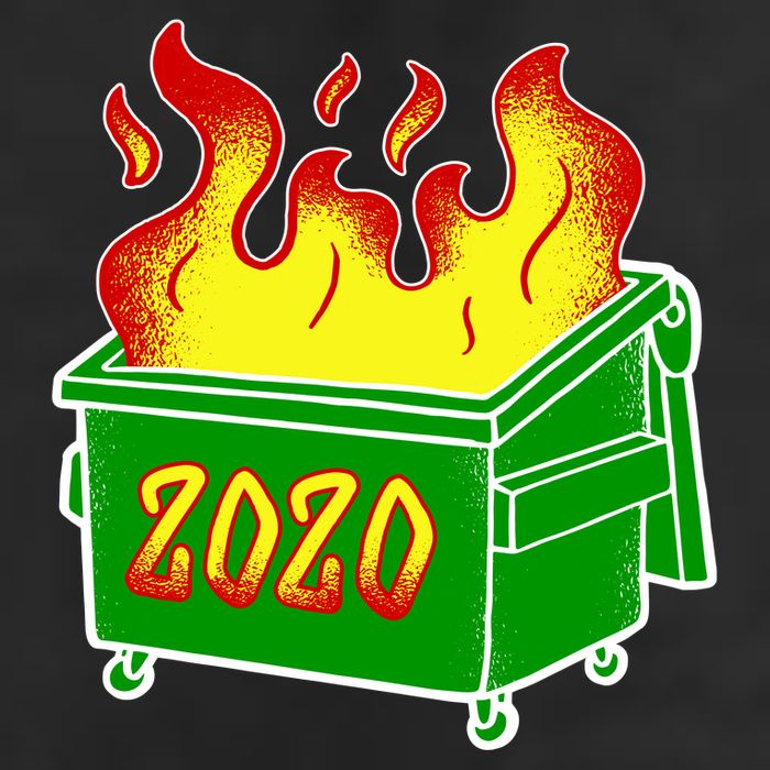 2020 Dumpster Fire Funny Disaster Tumbler