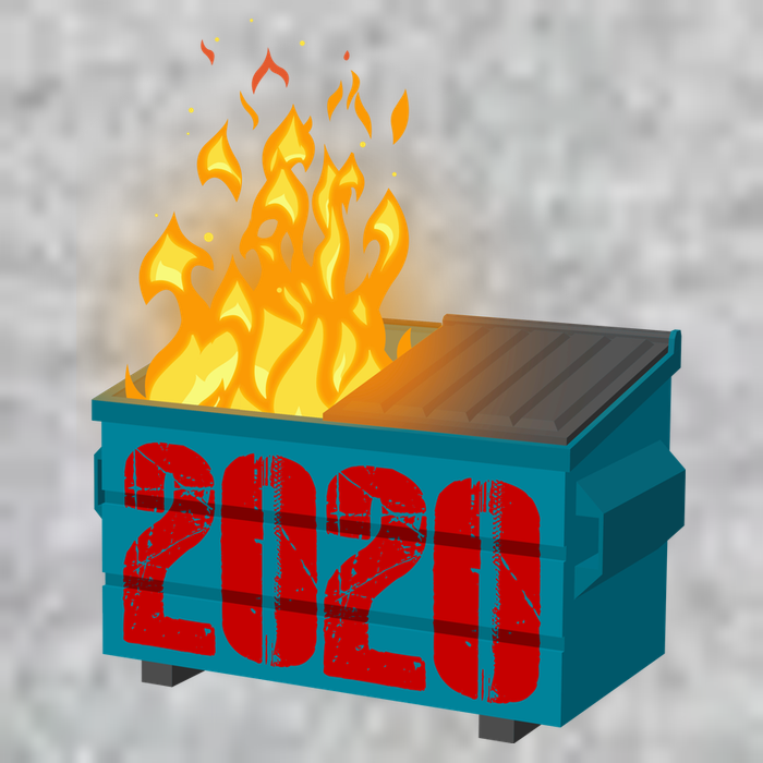 2020 Sucks A Dumpster Fire Premium T-Shirt