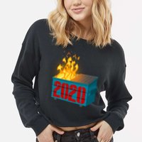 2020 Sucks A Dumpster Fire Cropped Pullover Crew