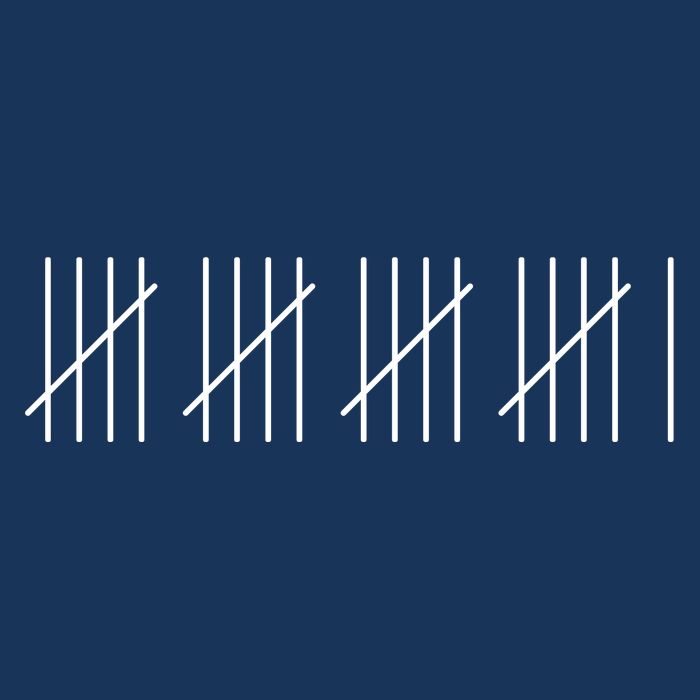 21 Twenty-One Years Old 21st Birthday Lines Sustainable Beanie