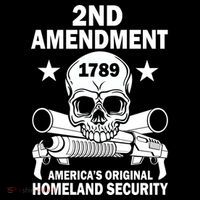 2nd Amendment 1789 Stripe Pom Pom Beanie