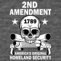 2nd Amendment 1789 Flatbill Hat