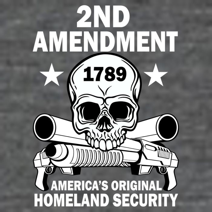 2nd Amendment 1789 Flatbill Hat