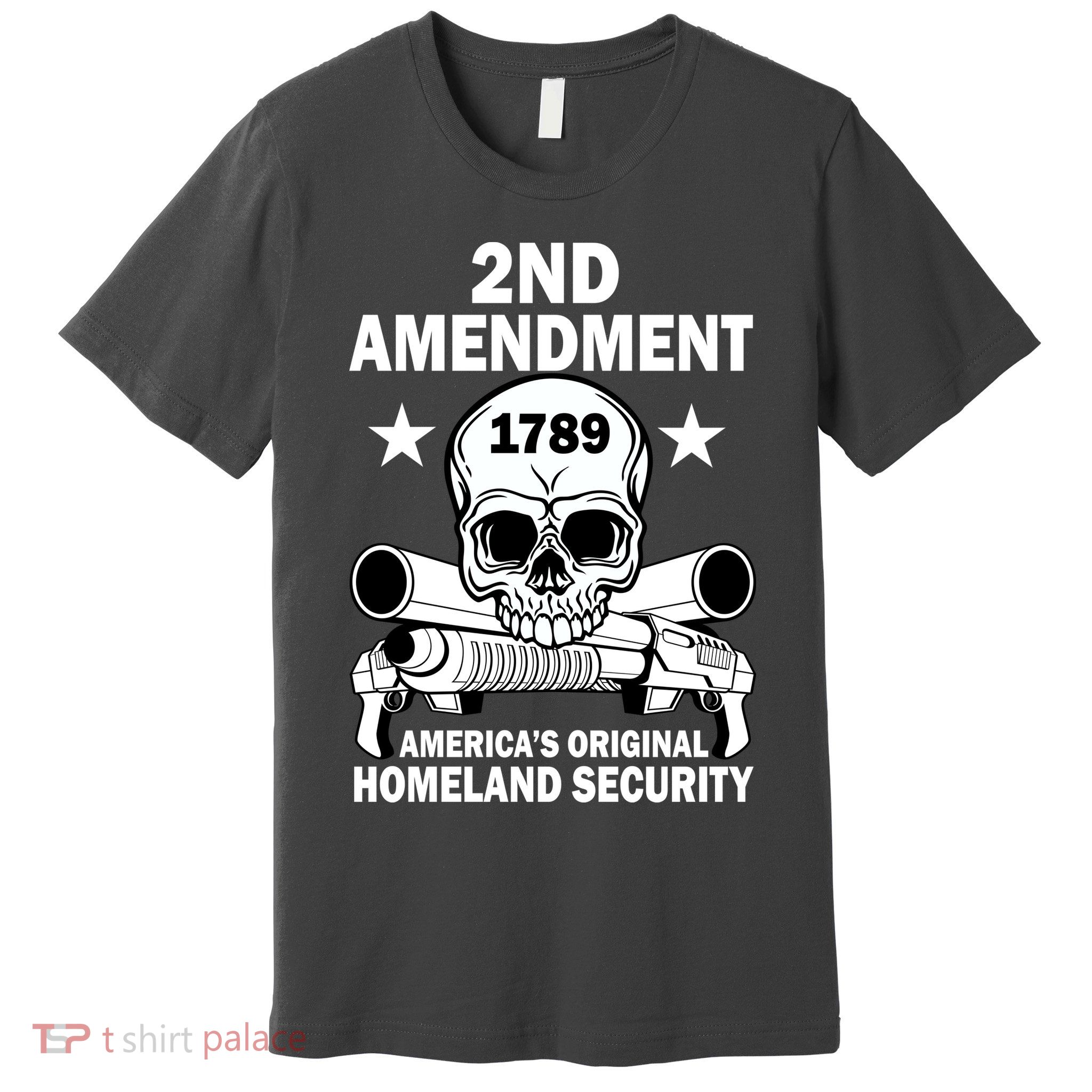 2nd Amendment 1789 Premium T-Shirt