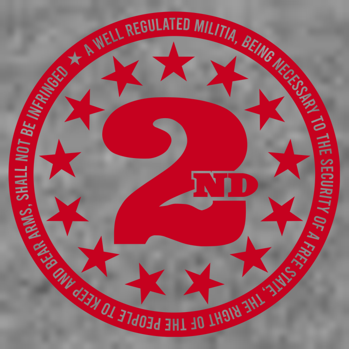 2ND AMENDMENT 2.0 7-Panel Snapback Hat