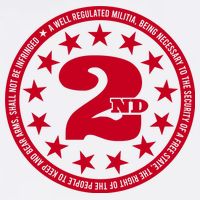 2ND AMENDMENT 2.0 Wool Snapback Cap
