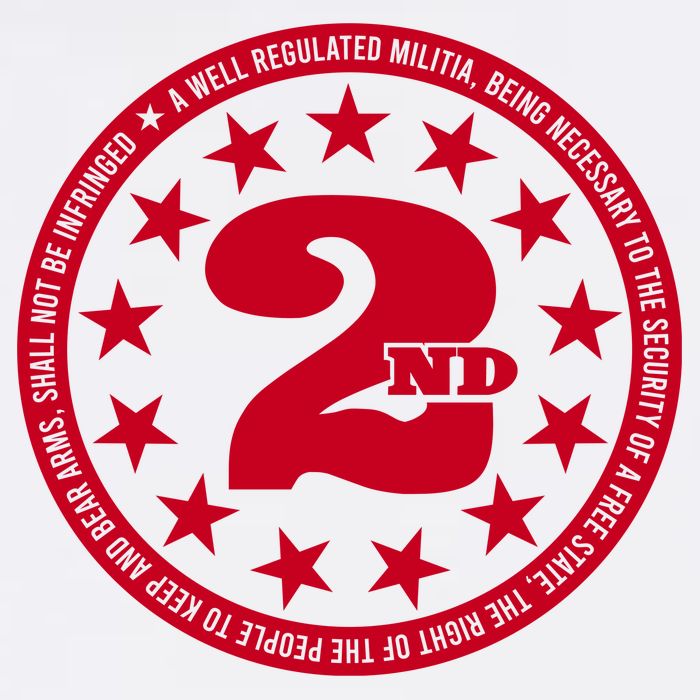 2ND AMENDMENT 2.0 Wool Snapback Cap