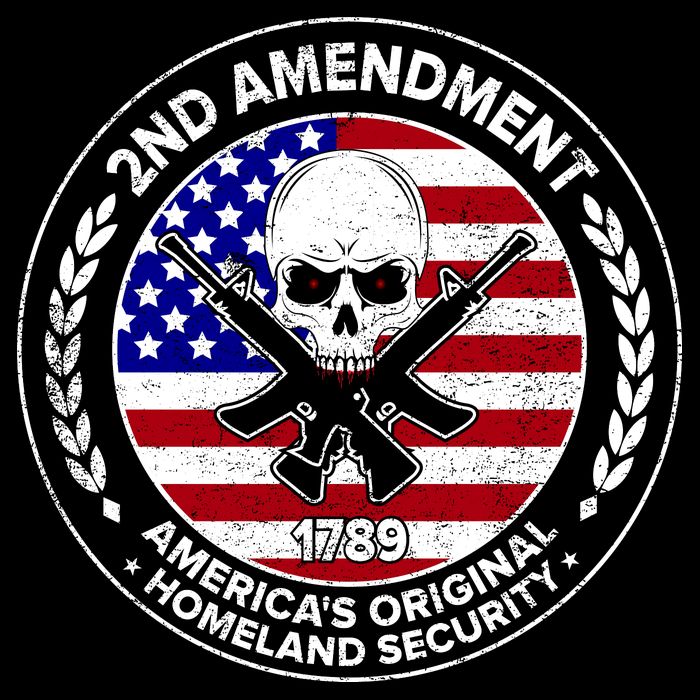 2nd Amendment America's Original Homeland Security 1789 Hoodie