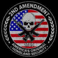 2nd Amendment America's Original Homeland Security 1789 Front And Back Mug