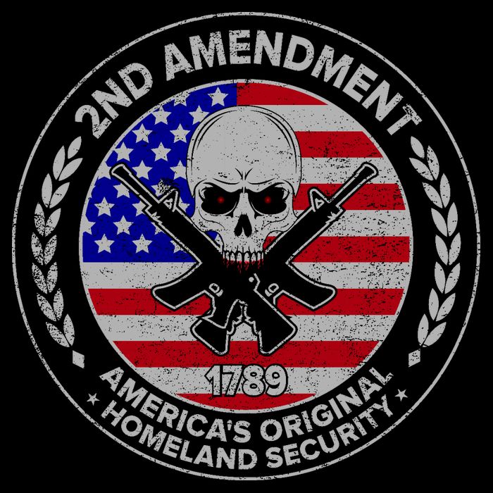 2nd Amendment America's Original Homeland Security 1789 Front And Back Mug