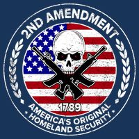 2nd Amendment America's Original Homeland Security 1789 Front And Back Poster