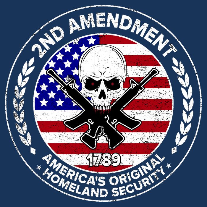2nd Amendment America's Original Homeland Security 1789 Front And Back Poster