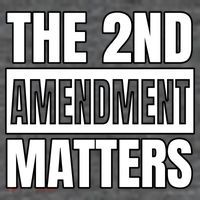 2nd Amendment Matters Button