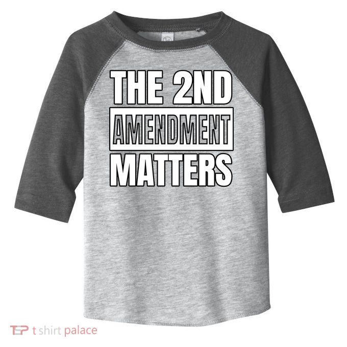 2nd Amendment Matters Toddler Fine Jersey T-Shirt