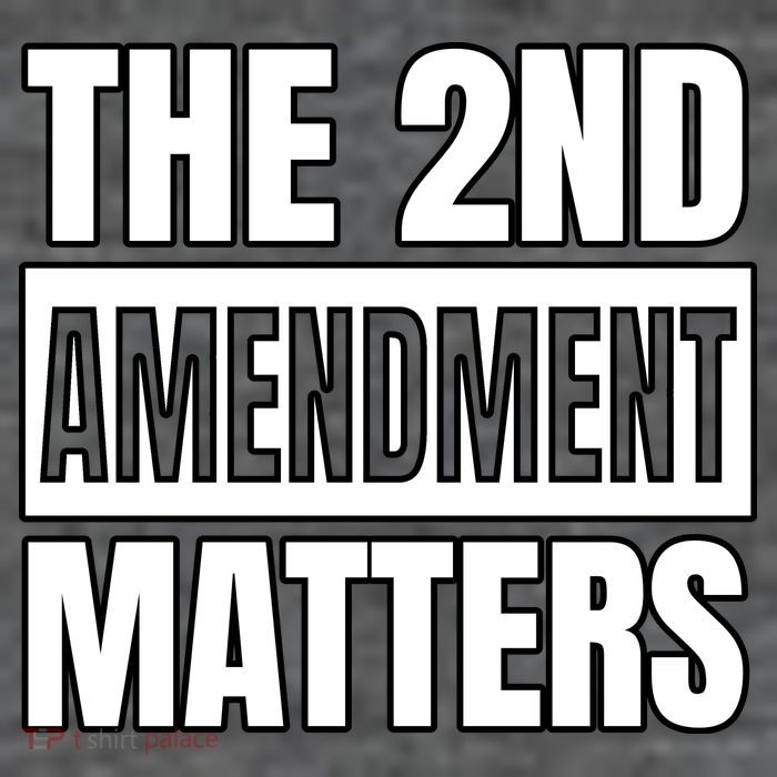2nd Amendment Matters Toddler T-Shirt