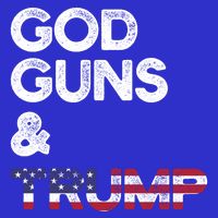 2nd Adt Pro Gun Gift Funny Gift V-Neck T-Shirt