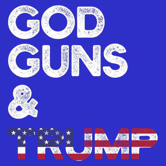2nd Adt Pro Gun Gift Funny Gift V-Neck T-Shirt