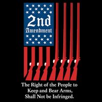 2nd Amendment Script Daily Commute Backpack