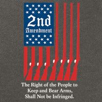 2nd Amendment Script Cotton Canvas Backpack