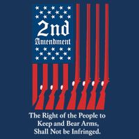 2nd Amendment Script Infant Baby Jersey Bodysuit