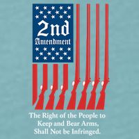 2nd Amendment Script Sueded Cloud Jersey T-Shirt