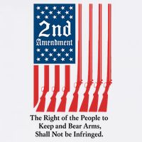 2nd Amendment Script Baby Bodysuit