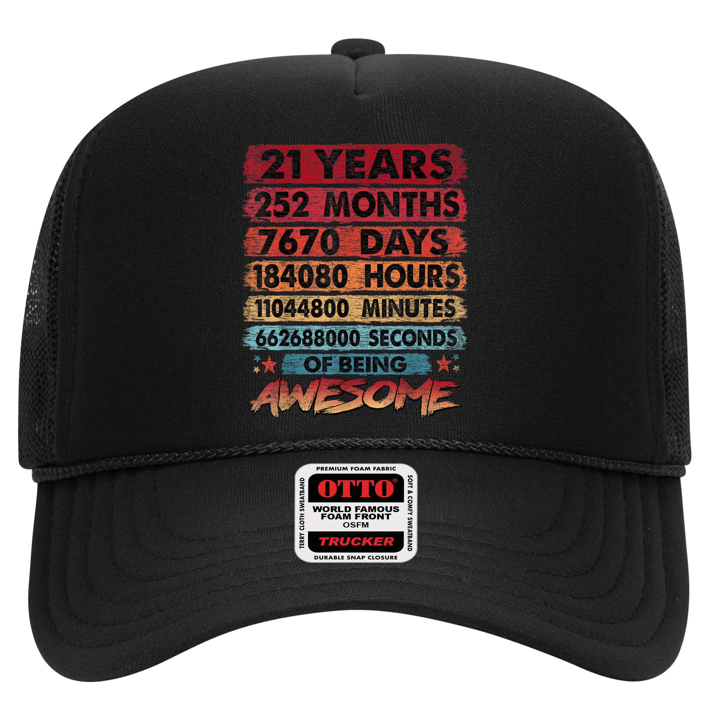 21st Birthday 21 Years Old Vintage Retro 252 Months Birthday Hat