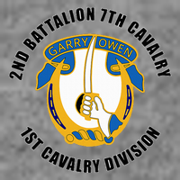 2nd Battalion 7th Cavalry 1st Cavalry Division Veteran Tall Hoodie