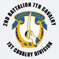 2nd Battalion 7th Cavalry 1st Cavalry Division Veteran Sueded Cloud Jersey T-Shirt