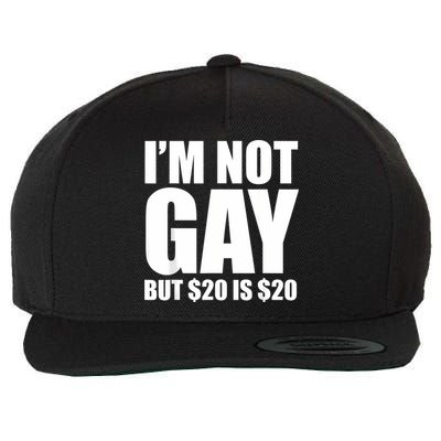 20 Bucks Is 20$ Humorous Bargain Funny Lgbt Wool Snapback Cap