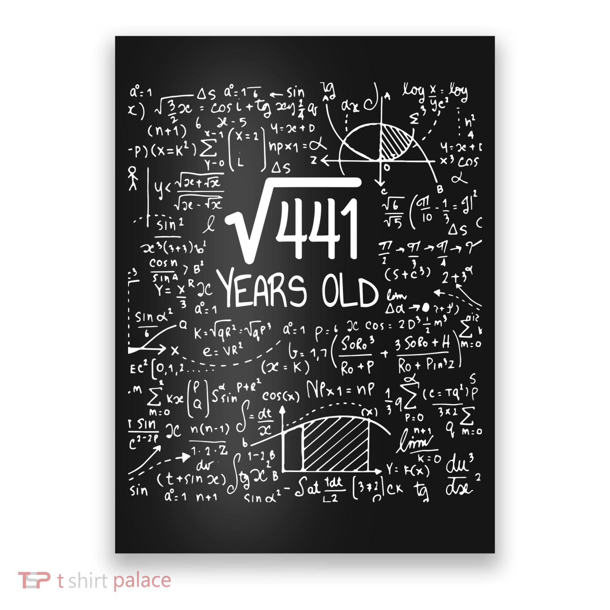 21st Birthday T Square Root Of 441 21 Years Old Poster