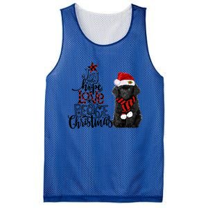 2020 Cute Gift Mesh Reversible Basketball Jersey Tank