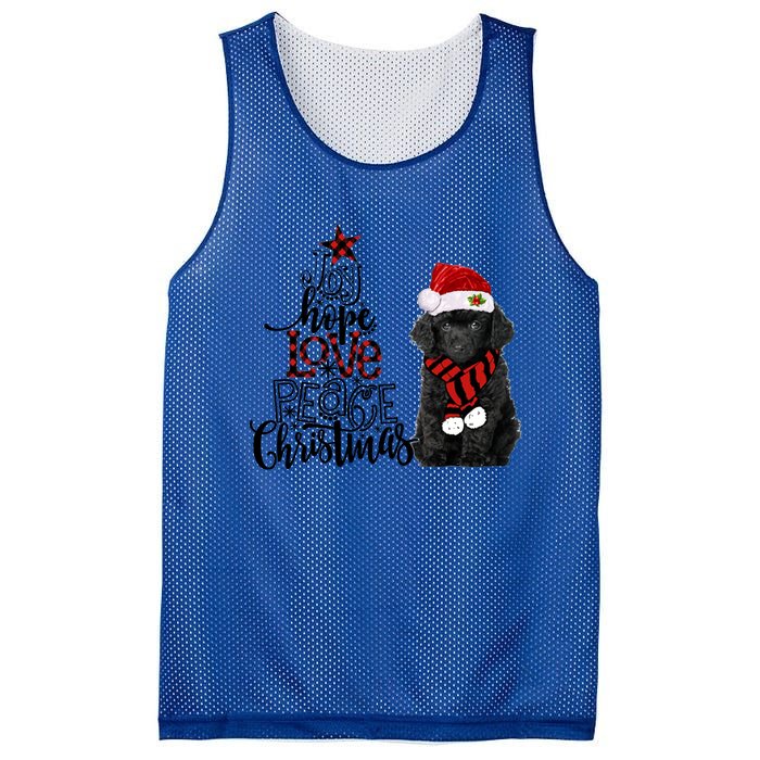 2020 Cute Gift Mesh Reversible Basketball Jersey Tank