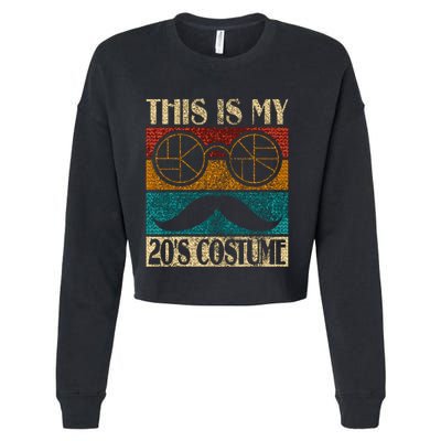 20s Costume Roaring 20s 1920 Twenties Cropped Pullover Crew