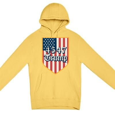 2024 Donald Trump Take America Back Election The Return Gift Premium Pullover Hoodie