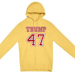 2024 Election Republican Conservative Premium Pullover Hoodie