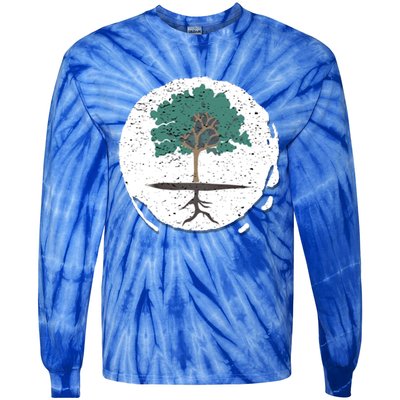 2funny Giftided Earth Day Is Every Day Global Warming Conservation Gift Tie-Dye Long Sleeve Shirt