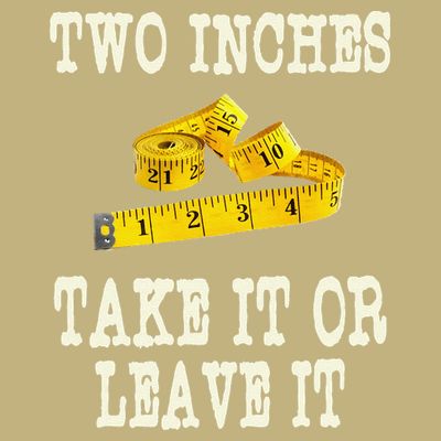 2 Inches Take It Or Leave It Funny Adult Jokes Dark Humor T-Shirt