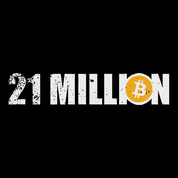 21 Million Bitcoin Crypto Hodl Btc 16 in Basic Backpack
