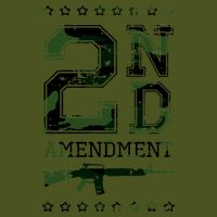 2nd Amendment Premium T-Shirt