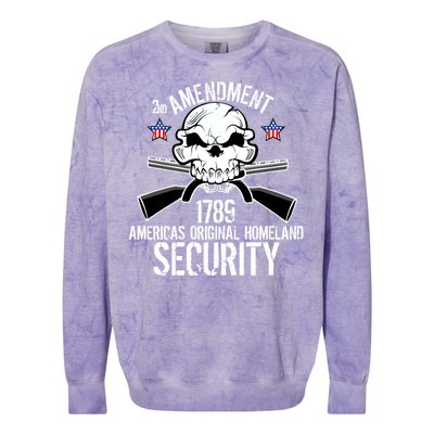 2nd Amendment 1789 Homeland Security Colorblast Crewneck Sweatshirt