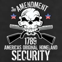 2nd Amendment 1789 Homeland Security Garment-Dyed Heavyweight T-Shirt