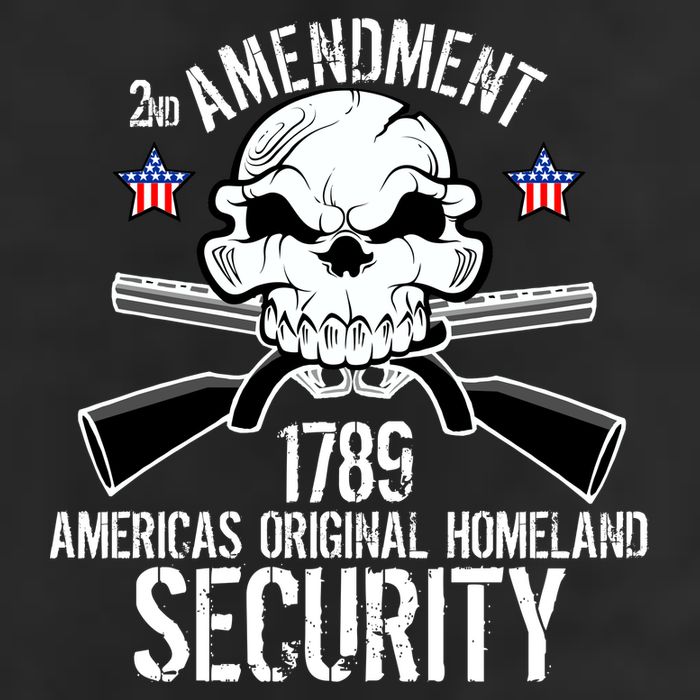 2nd Amendment 1789 Homeland Security Garment-Dyed Heavyweight T-Shirt