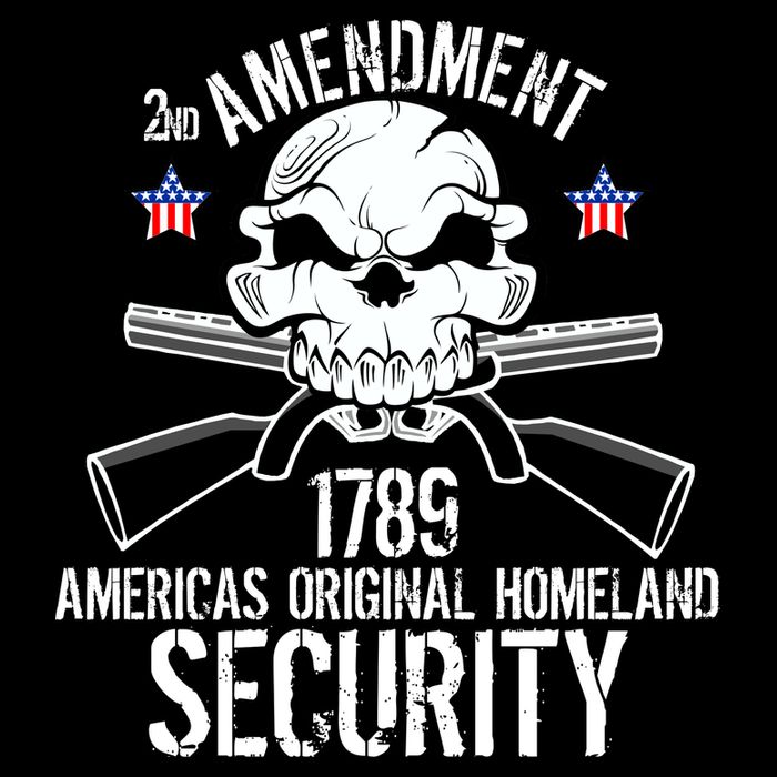 2nd Amendment 1789 Homeland Security Impact Tech Backpack