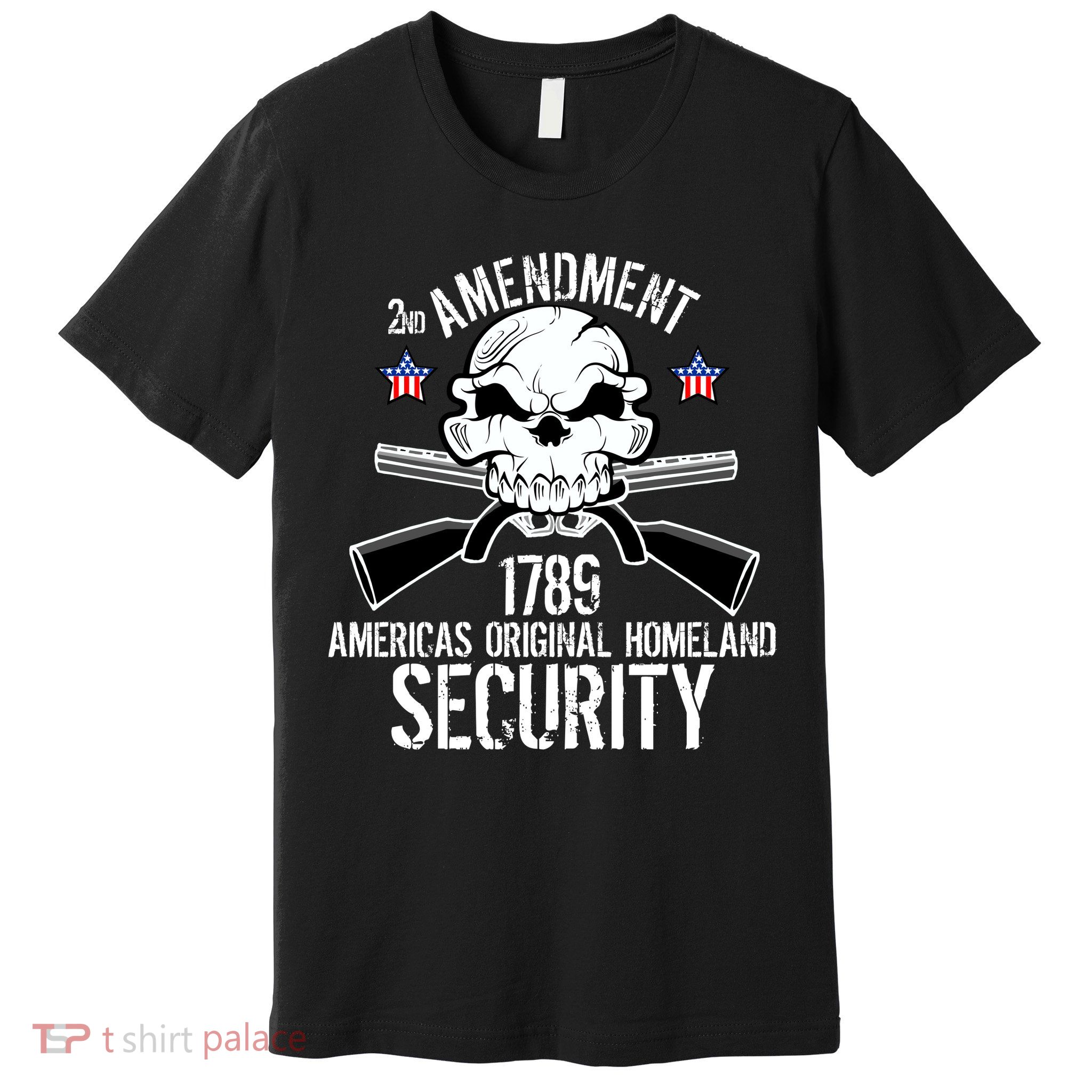 2nd Amendment 1789 Homeland Security Premium T-Shirt